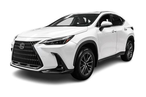 2025-Lexus-NX-350-Premium-1