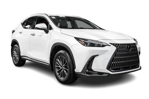 2025-Lexus-NX-350-Premium-3